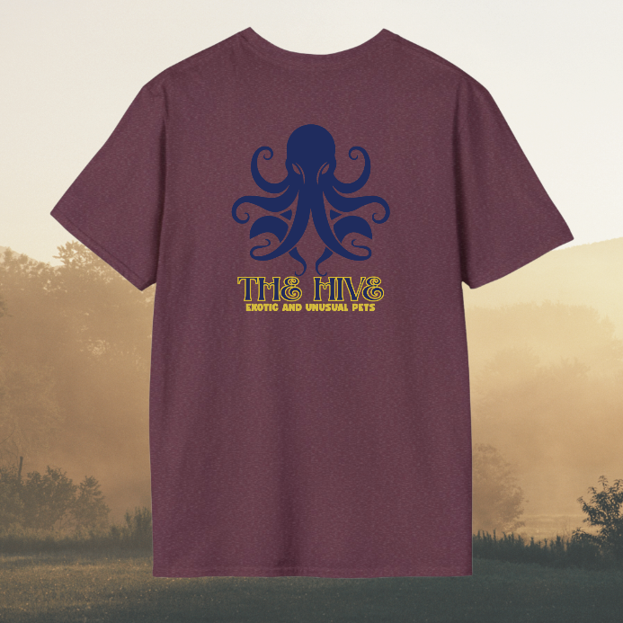 Best Value Two Sided Print